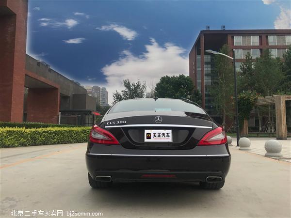  CLS 2012 CLS 300 CGI