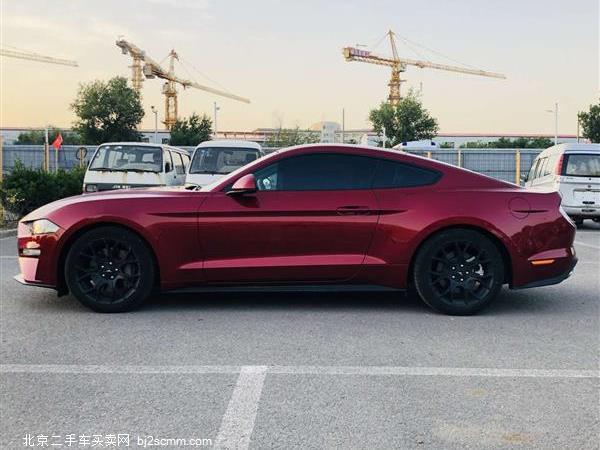   2019 Mustang 2.3L EcoBoost