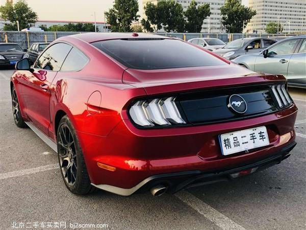   2019 Mustang 2.3L EcoBoost