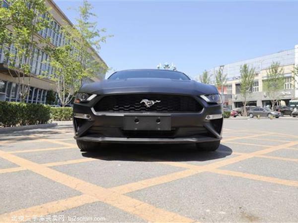   2019 Mustang 2.3L EcoBoost