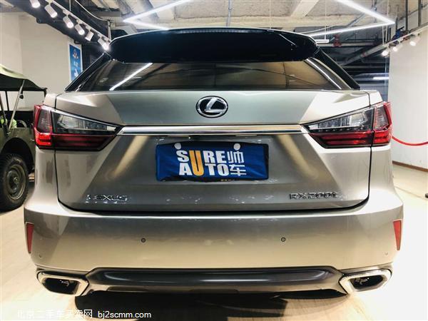  2016 ׿˹RX 300 ʰ V