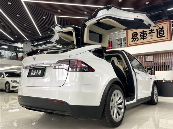 Model X 2019 