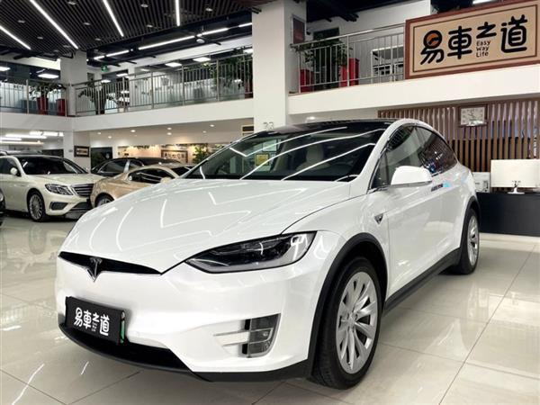 Model X 2019 