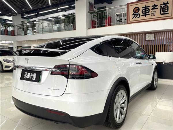 Model X 2019 