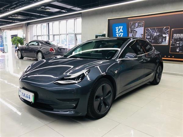 Model 3 2019 ׼