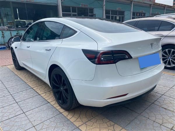 Model 3() 2019 ׼