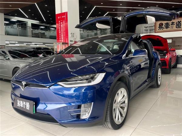 Model X 2017 Model X 100D 