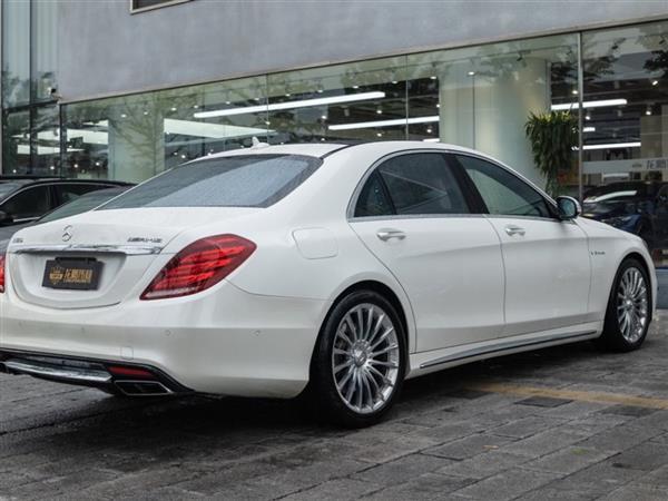 SAMG 2014 AMG S 65 L