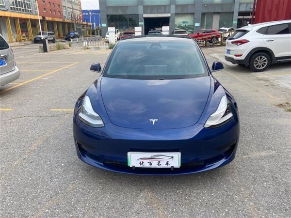 Model 3 2019 ׼