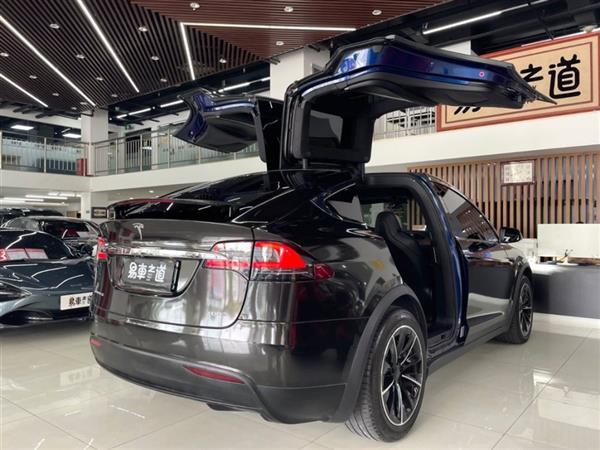 Model X 2017 Model X 100D 