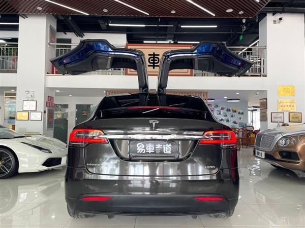 Model X 2017 Model X 100D 