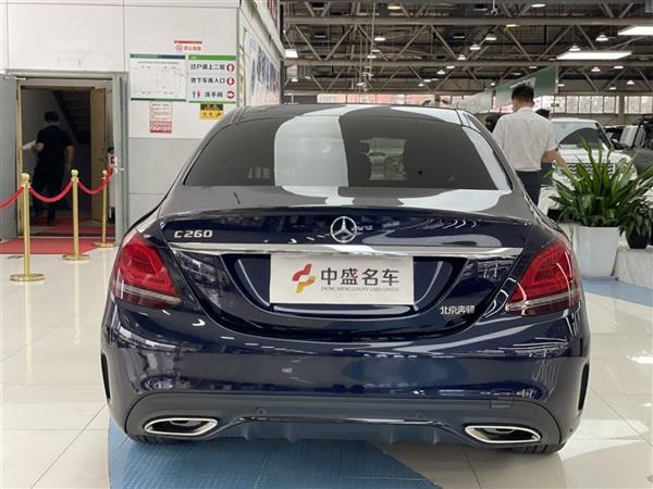 C 2019 C 260 ˶