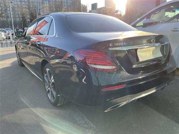 E 2016 E 300 L ˶