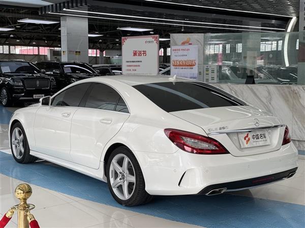 CLS 2017 CLS 260ݲʰ