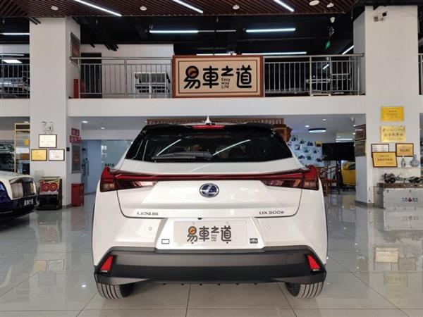 ׿˹UXԴ 2020 300e 