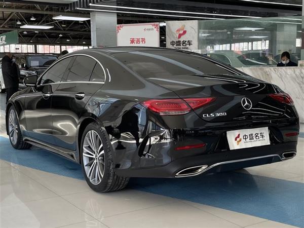 CLS 2018 CLS 300 