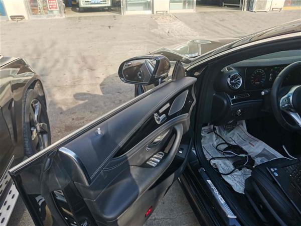 AMG GT 2019 AMG GT 50 ܳ