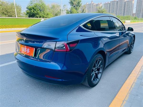 Model 3 2019 ׼