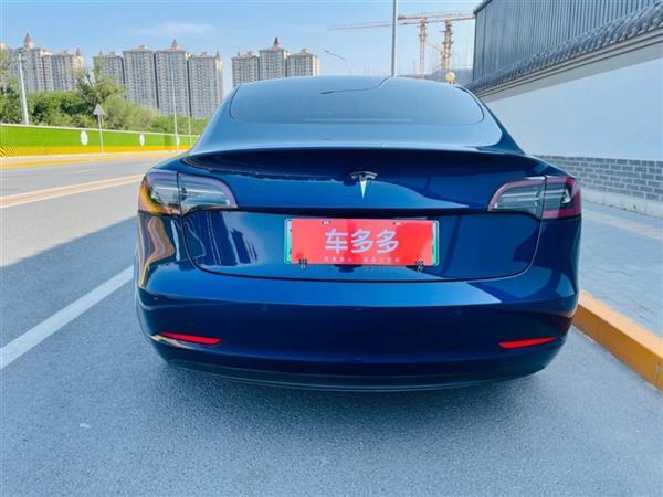 Model 3 2019 ׼