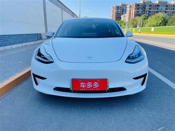 Model 3 2019 ׼