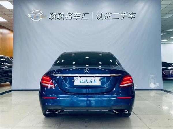 E 2017 E 300 ˶