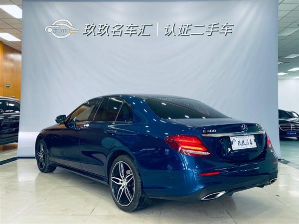 E 2017 E 300 ˶