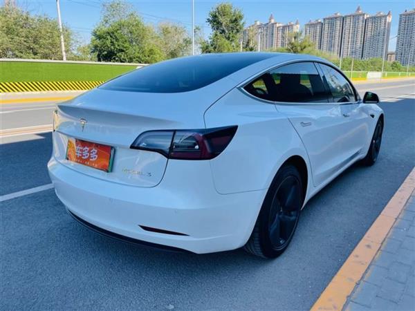 Model 3 2019 ׼