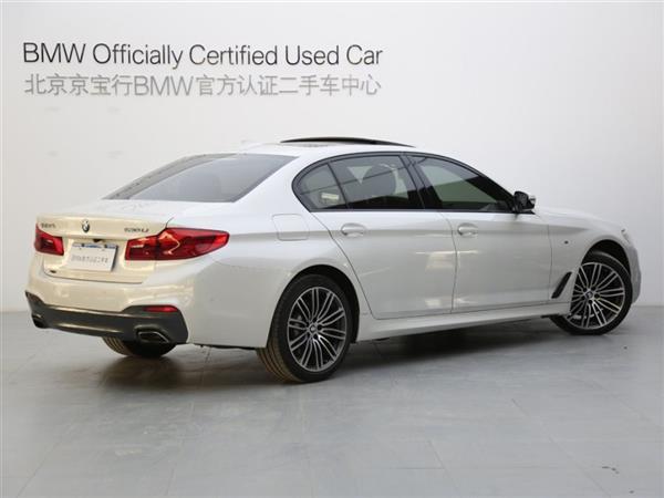 5ϵ 2019 530Li xDrive M˶װ