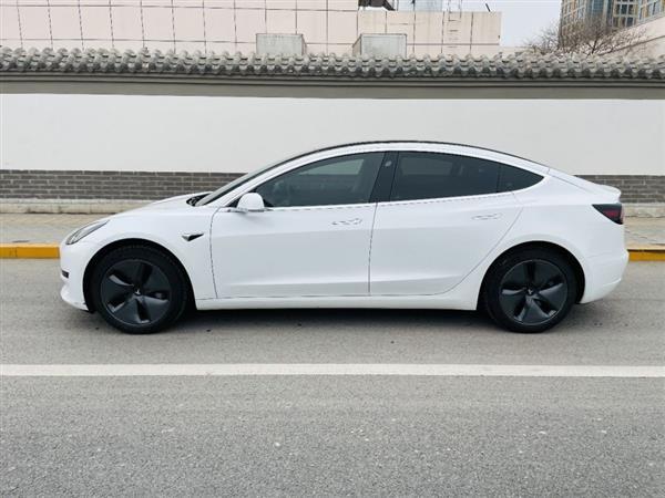 Model 3 2020 ׼