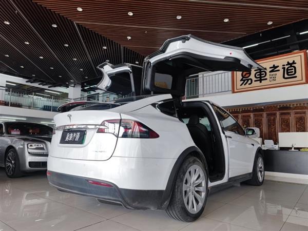 Model X 2020 