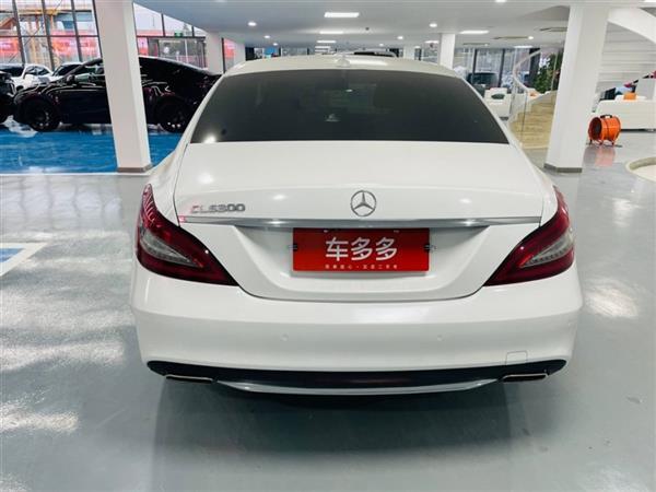 CLS 2017 CLS 260ݲʰ