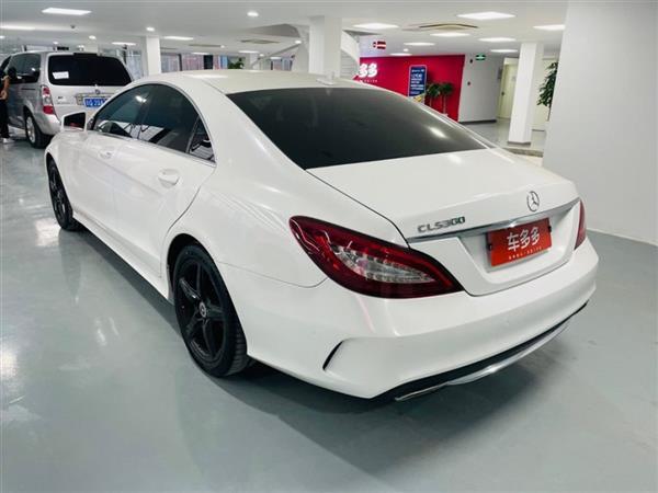 CLS 2017 CLS 260ݲʰ