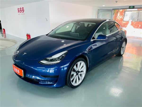 Model 3 2019 ׼