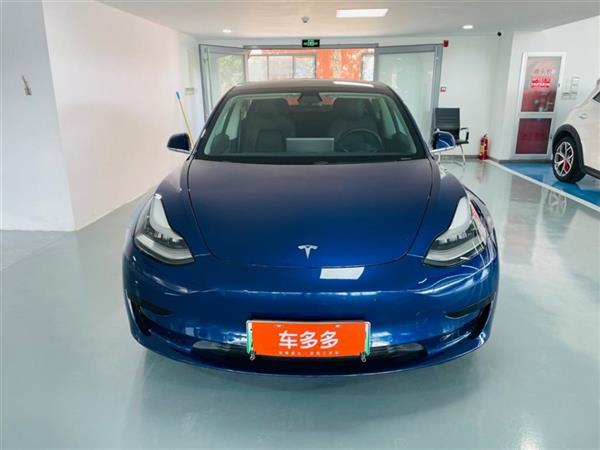 Model 3 2019 ׼