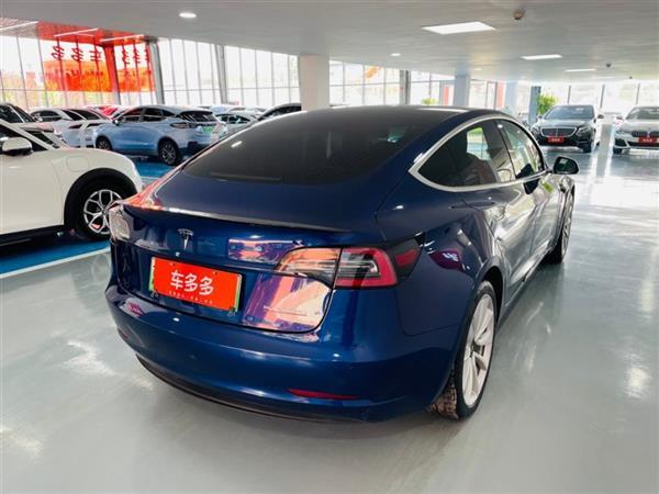 Model 3 2019 ׼