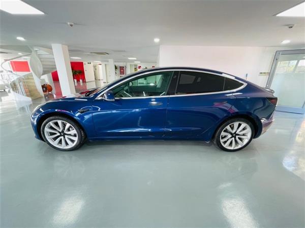 Model 3 2019 ׼
