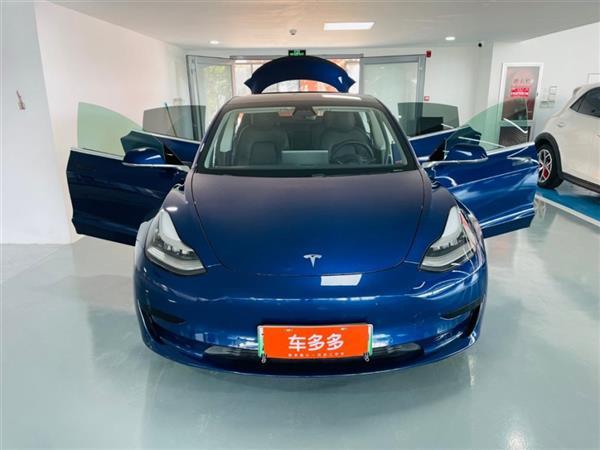 Model 3 2019 ׼