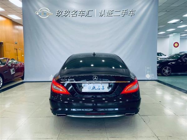 CLS 2012 CLS 300 CGI