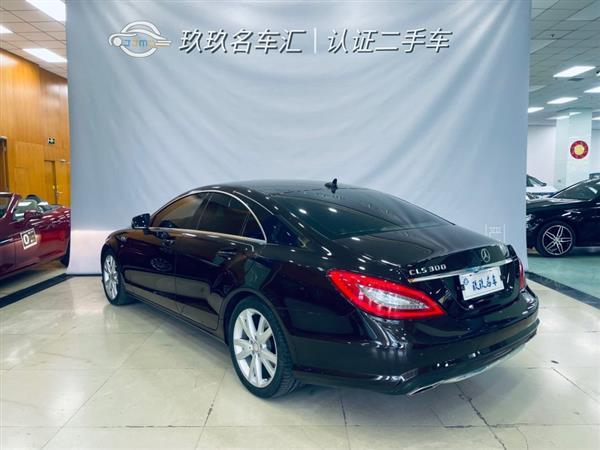 CLS 2012 CLS 300 CGI