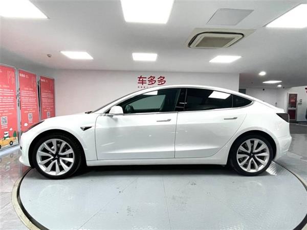 Model 3 2019 ׼