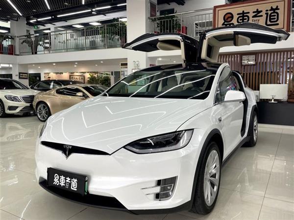 Model X 2019 