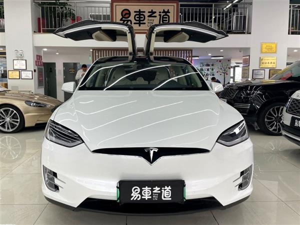 Model X 2019 