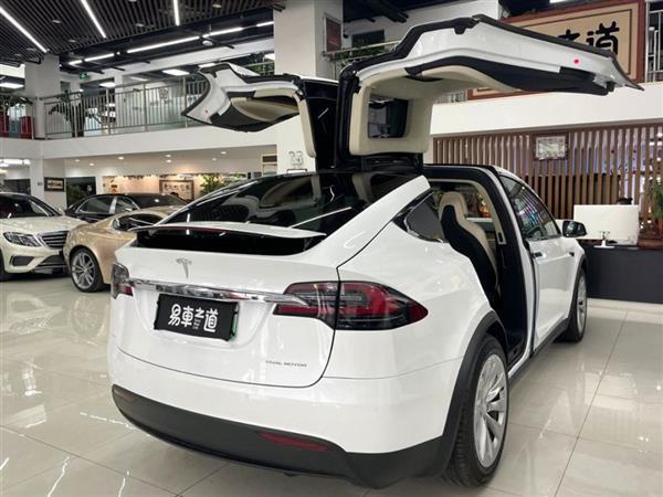 Model X 2019 