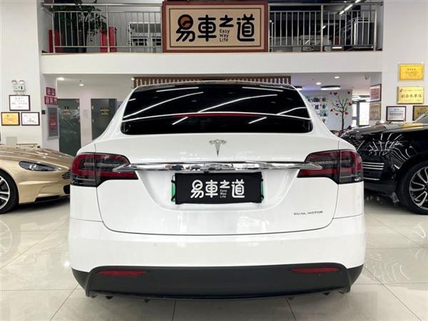 Model X 2019 