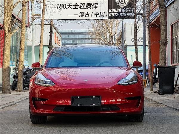 Model 3 2019 ׼