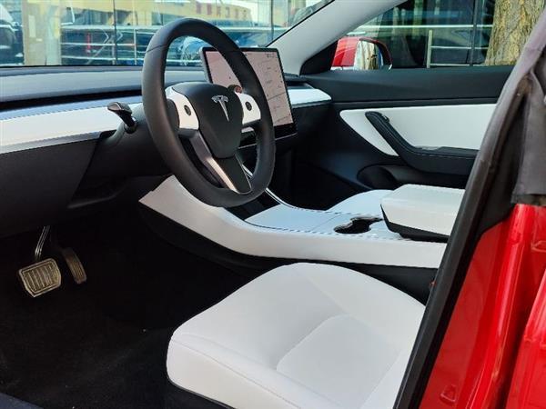 Model 3 2019 ׼