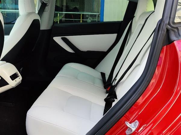 Model 3 2019 ׼
