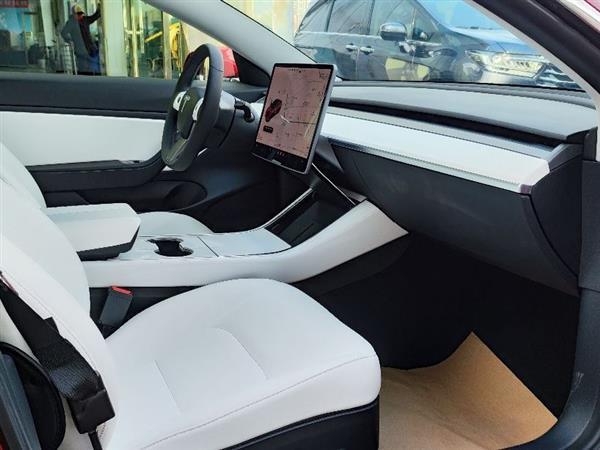 Model 3 2019 ׼