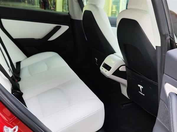 Model 3 2019 ׼