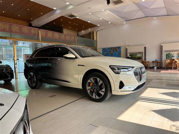 µe-tron() 2019 55 quattro ʱ